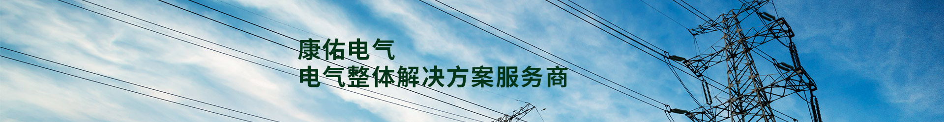 河南康佑電氣科技有限公司